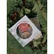 Assortiment de 4 savons